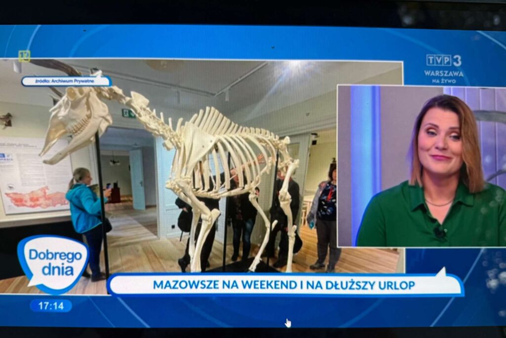 Przewodnik po Warszawie podczas programu TVP3 Dobrego Dnia.